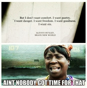 Novel quotes Ain 39 t nobody got time for that