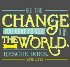 ... Rescue dogs. Save lives. Gandhi quote. Texas Star Rescue fundraiser; $