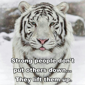 White tiger with epic quote.