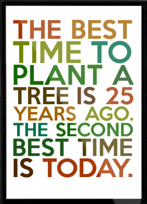 ... tree is 25 years ago. The second best time is today. Framed Quote