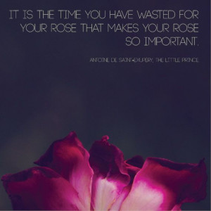 Rose Photograph | The Little Prince Quote | Nature Macro Photography ...