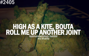Filed Under Kushandwizdom Quote Quotes Weed Stoned