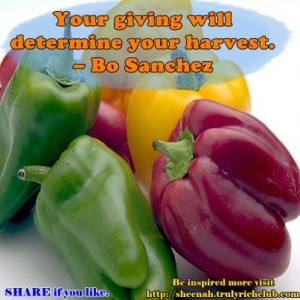 ... your harvest. -Bo Sanchez http://gemsfrombosanchez.blogspot.com
