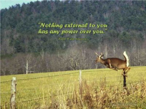 Wallpaper Quotes~~~~~ 102 - Deer Jumping over fence.