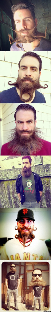 Funny Pictures – Awesome beard