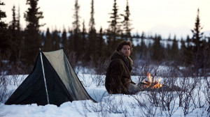 Into The Wild Quotes 'into the wild'
