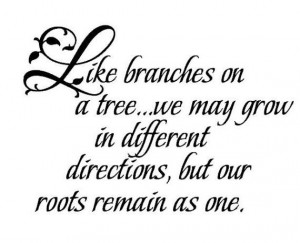 Like branches on a tree...we may grow in different directions, but our ...