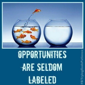 Quotes About New Opportunities