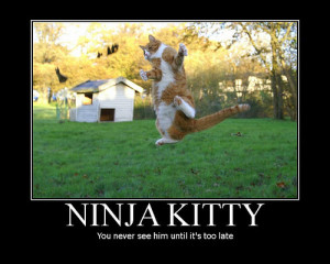 Striking fear into the hearts of children. Ninja Kitty