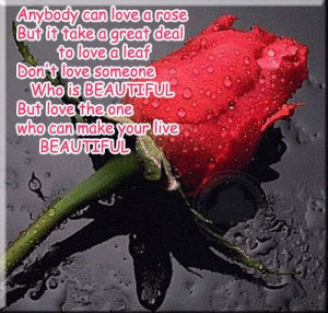 Love Quotes: Anybody can love a rose…