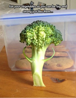 Funniest_Memes_eat-your-vegetables-so-you-can-be-big-and_16413.jpeg