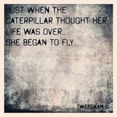 ... quotes gonna fly new beginnings quotes new beginning quotes keep going