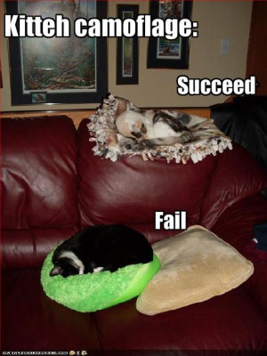 ... illustrated quotations tough kitty dennys funny quotes funny video