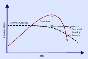 ... shows the carrying capacity falling once we overshoot the capacity