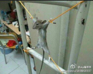 那些惨绝人寰的酷刑:烙碳图片