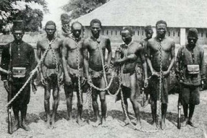 Chained Congolese slaves on a Belgian Rubber Plantation.