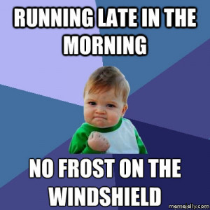 ... late in the morning and go to exercise late so no frost on the