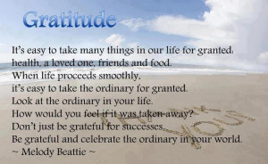 Gratitude It's Easy To Take Many Things