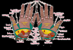 when you touch a body you touch the whole person the intellect the ...