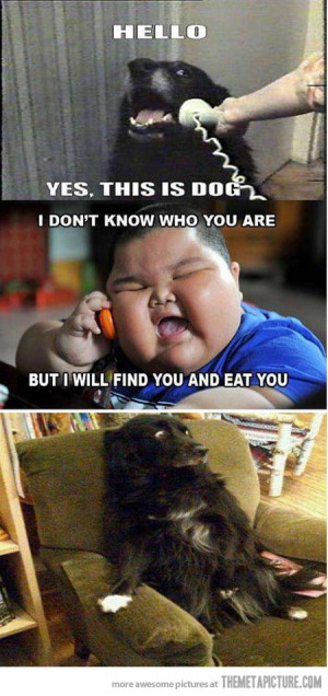 Internet Memes: Stereotyping Asians