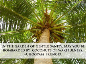 In the garden of gentle sanity, may you be bombarded by coconuts of ...