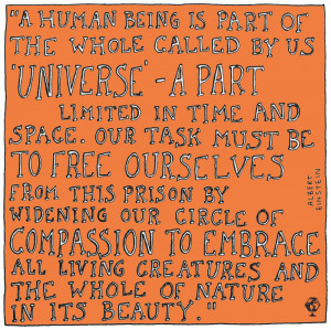 Thoughtful Storytelling = Adventurous Empathy