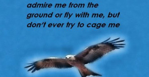 best quotes for success on life 15 images success quotes life quotes ...