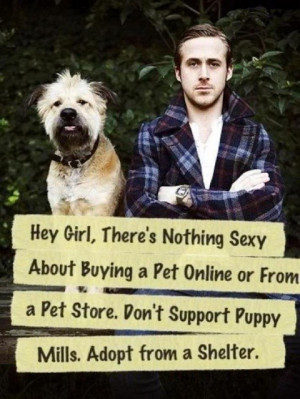 ryan gosling adopt dog Puppy Mill Awareness Day...