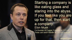 Elon Musk/Image; PropelU