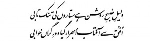Poetry of Allama Iqbal In Urdu | Iqbal shayari Collection for muslims