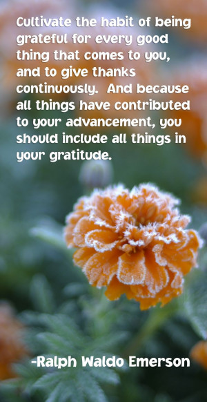 ... all things in your gratitude. -Ralph Waldo Emerson #quote #inspireme