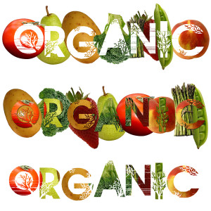 Organic Foods Rebounding Food Manufacturing Market