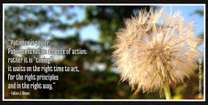 Pin it 1 Like 1 Image