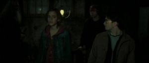 Harry and Hermione Deathly Hallows II