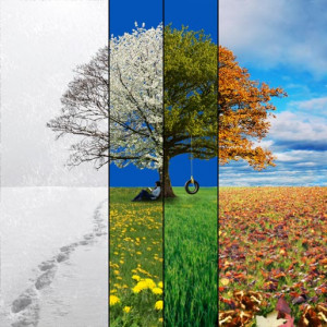 Fours Seasons | Seasons of Life, Poem