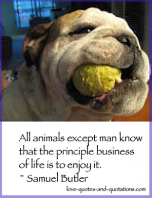 Love Animal Quotes - Quotes about a Love of Animals & the Environment