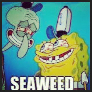 ... are the damn lol meme faces jordans for girls dirty jokes Pictures