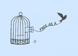 Free Like A Bird Quotes Drawing, free as a
