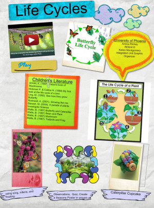 Life Cycles Plants And Animals