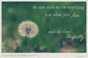 inspirational wish quotes photo art dandelion