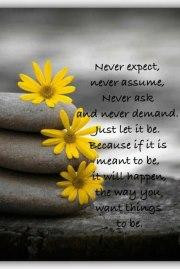 Never Expect, Never Ask, Never Assume, and Never Demand. Just Let It ...