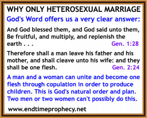 genesis 1 28 2 24 Biblical Marriage / Divorce / Adultery Graphic 17