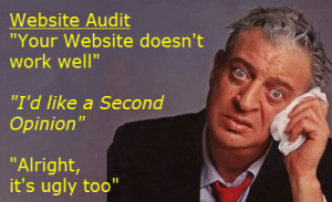 Website audit funny quote