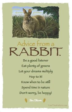 Advice from a rabbit. Be a good listener. Eat plenty of greens. Let ...