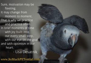 quote on motivation in pet training #parrot #dog #pet