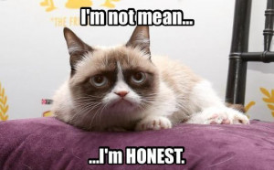 Grumpy Cat isn’t mean…she’s honest! #PicOfTheDay