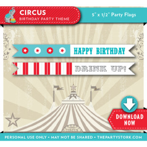 Circus Theme Birthday Party
