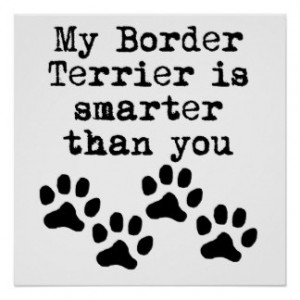 My Border Terrier Is Smarter Than You Posters