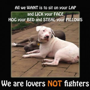 The truth about pitbulls