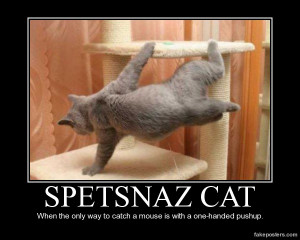 Spetsnaz Cat - Demotivational Poster